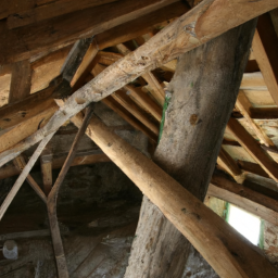 La charpente bois : techniques et savoir-faire du charpentier à Neuilly-sur-Marne